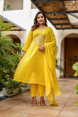 Sunlit Zari Glow A-Line Embroidered Suit Set