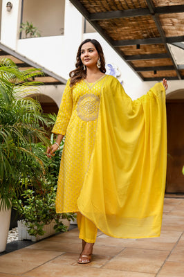 Sunlit Zari Glow A-Line Embroidered Suit Set